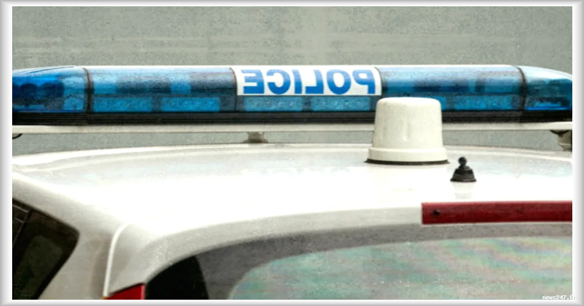 Un meeting de La France insoumise perturbé près de Lille : quatre interpellations