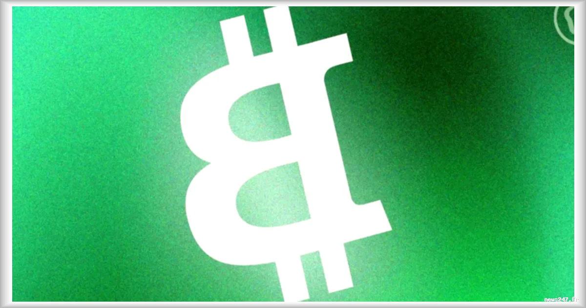 Un mineur de Bitcoin décroche un jackpot de 210 000 dollars : une chance sur 24 000