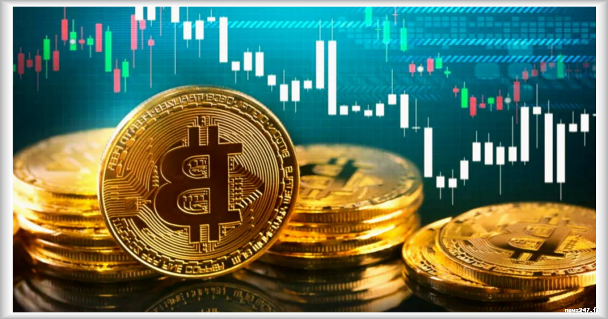 Un nouveau décret protegera les proprietaires de cryptomonnaies en cas de faillite