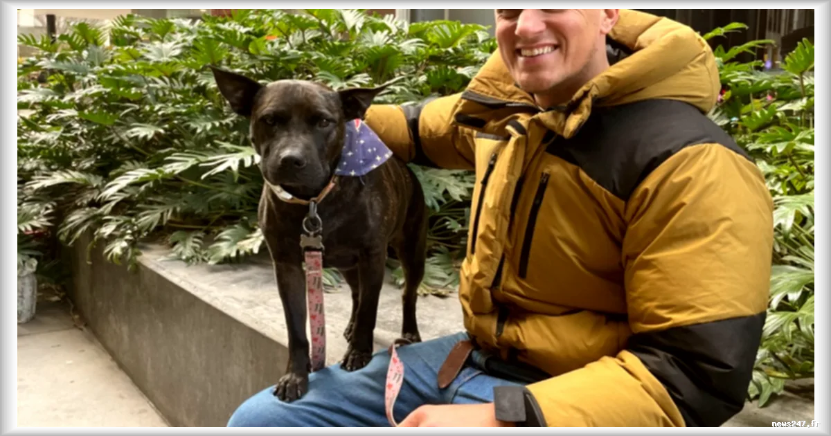 Un propriétaire conçoit un vaccin contre le cancer pour sauver la vie de son chien grâce à l'IA