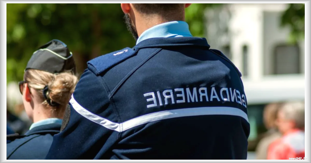 Un septuagénaire accusé d'avoir tué sa sœur avant de se suicider près de Blois