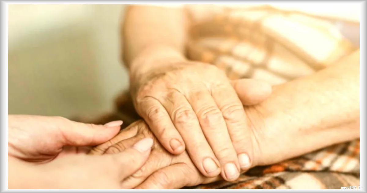 Un testament annulé en Italie : 100 000 euros légués à une aide-soignante, mais invalidé par la justice