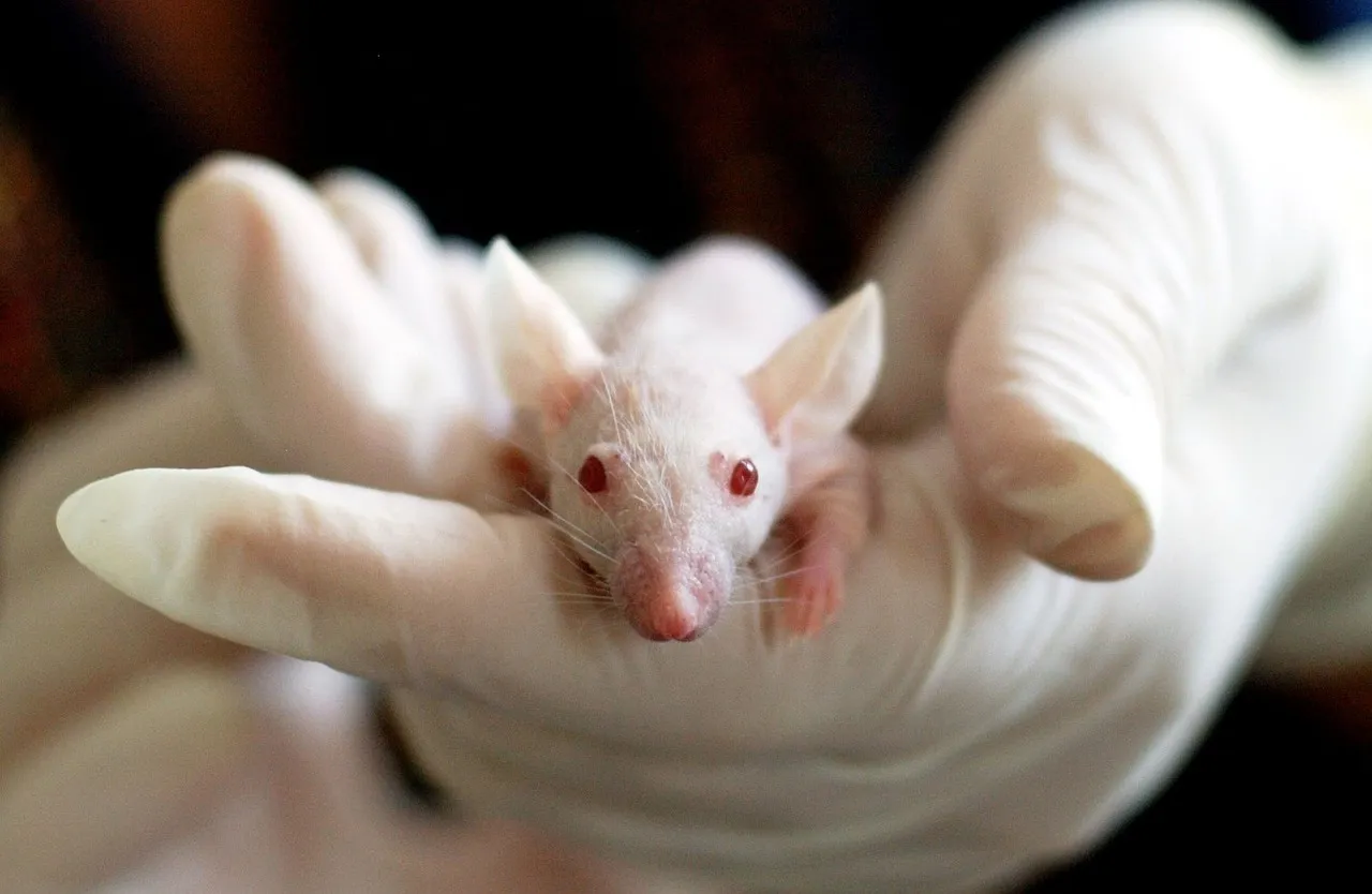 Une étude sur le cancer du pancréas retirée en raison de soupçons de conflit d’intérêts