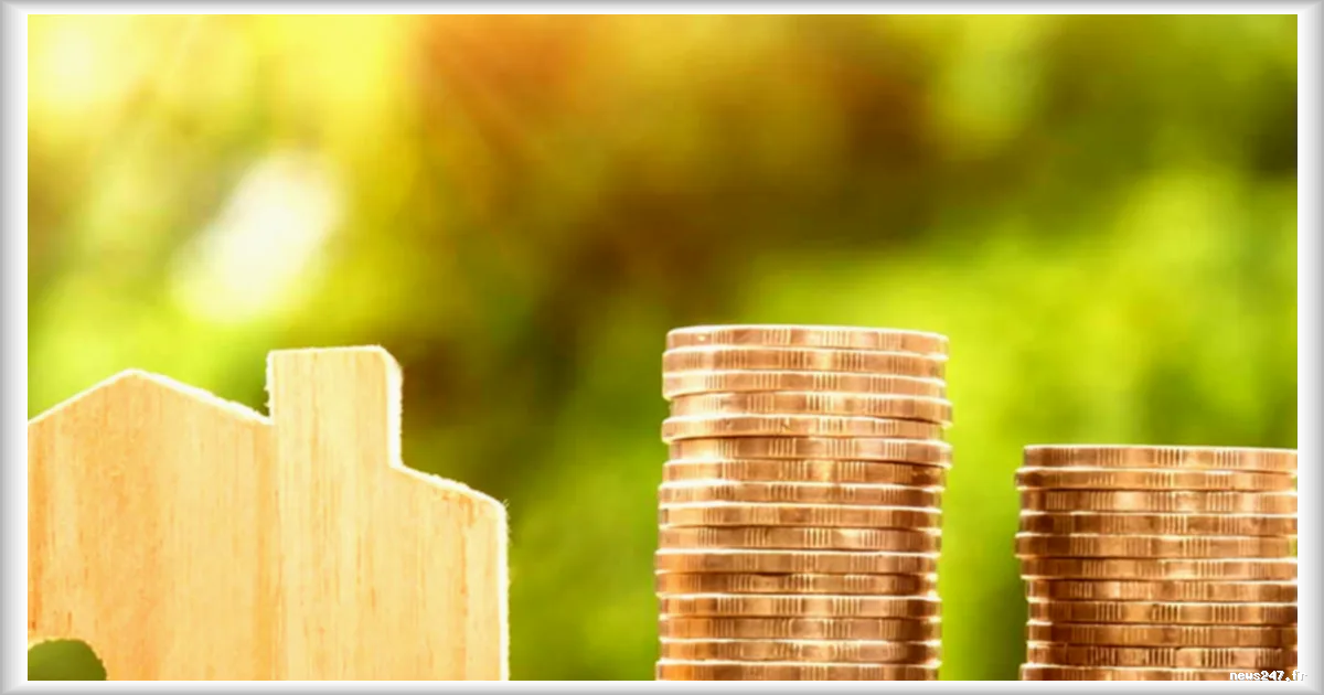 Une locataire perd son emploi : son propriétaire lui offre un mois de loyer pour l'aider