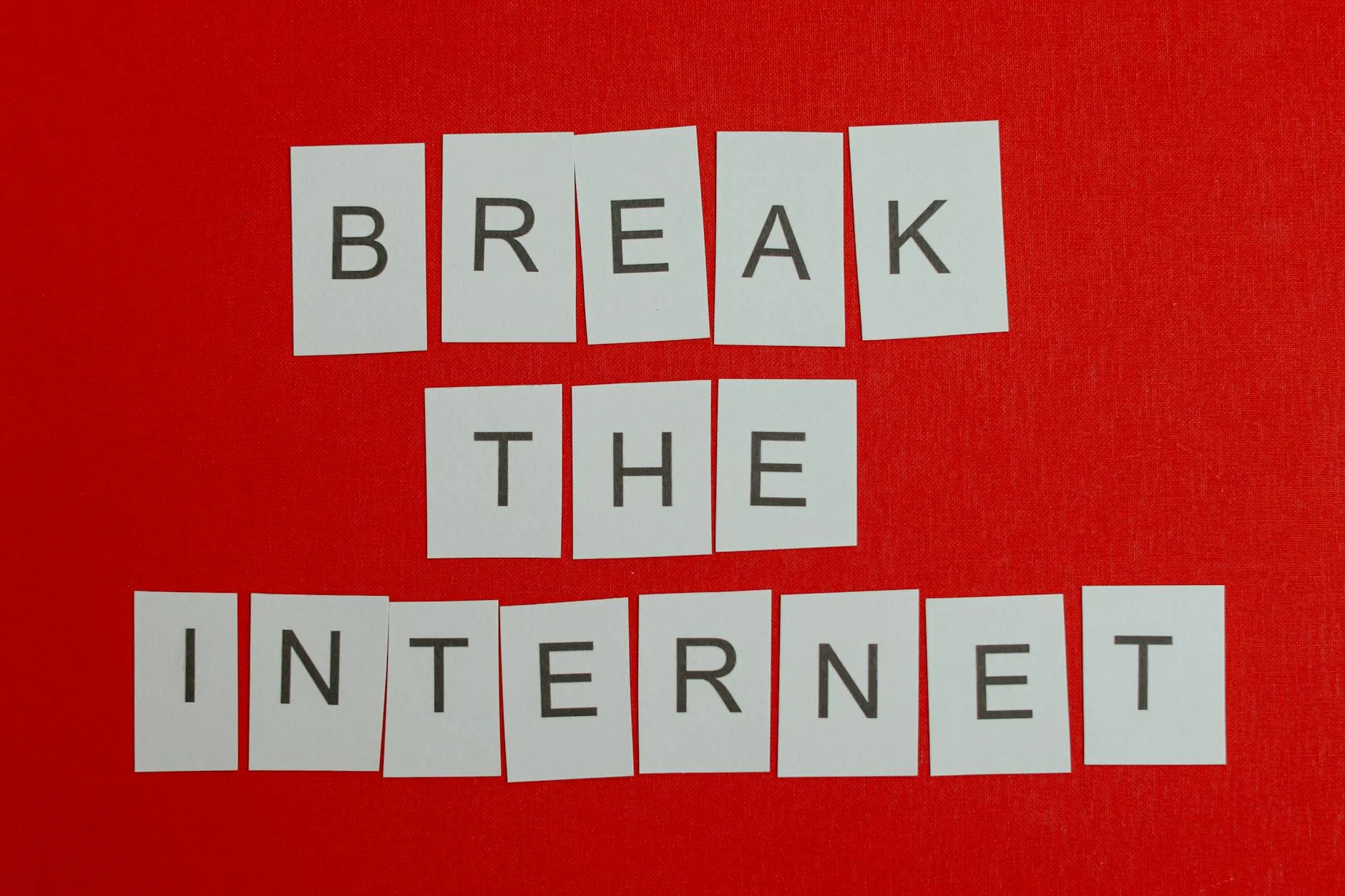 Une tourbière vieille de 8 000 ans menacée par un projet autoroutier à Arles