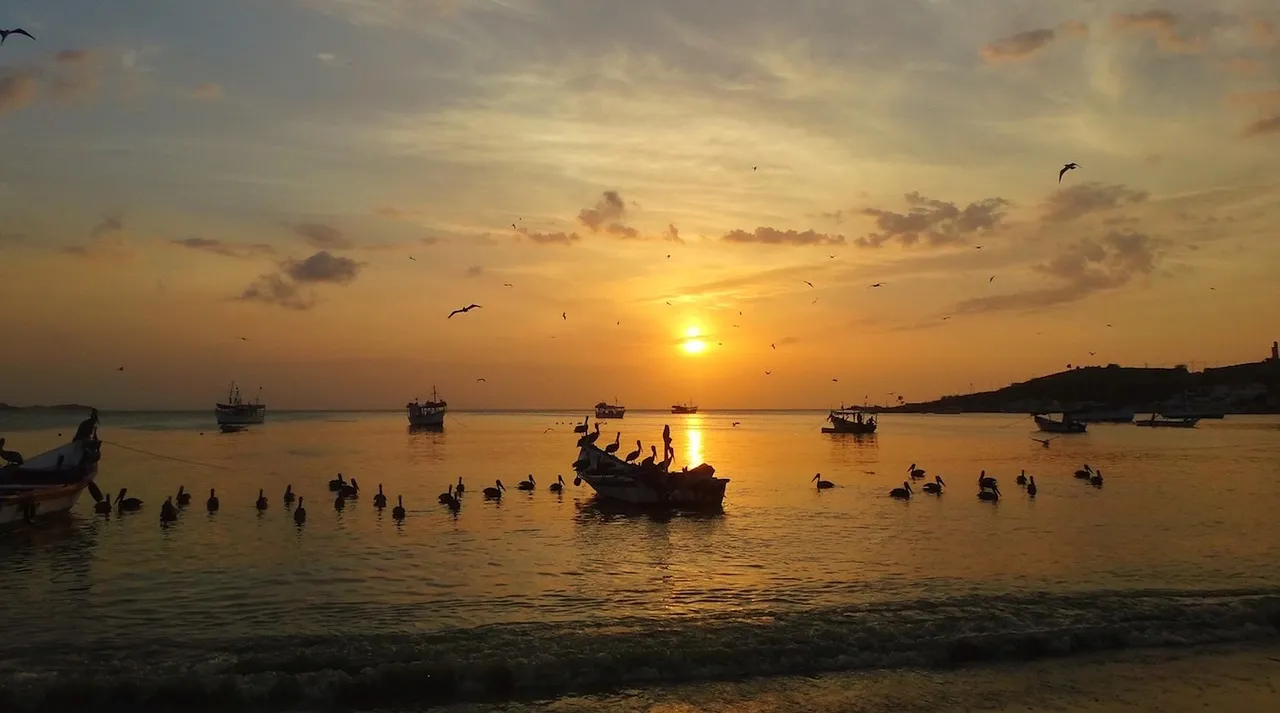 Venezuela : Juan Pablo Guanipa, l'opposant ballotté entre prison et résidence surveillée