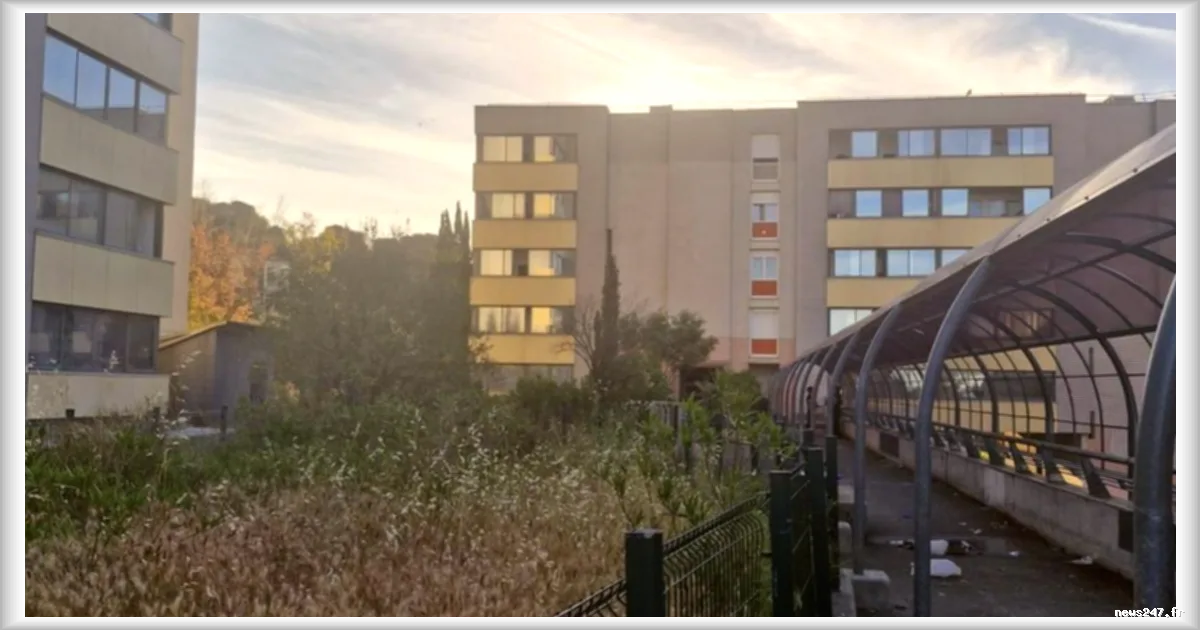 Violences armées dans les Alpes-Maritimes : tirs à Nice et Vallauris, une victime en urgence absolue