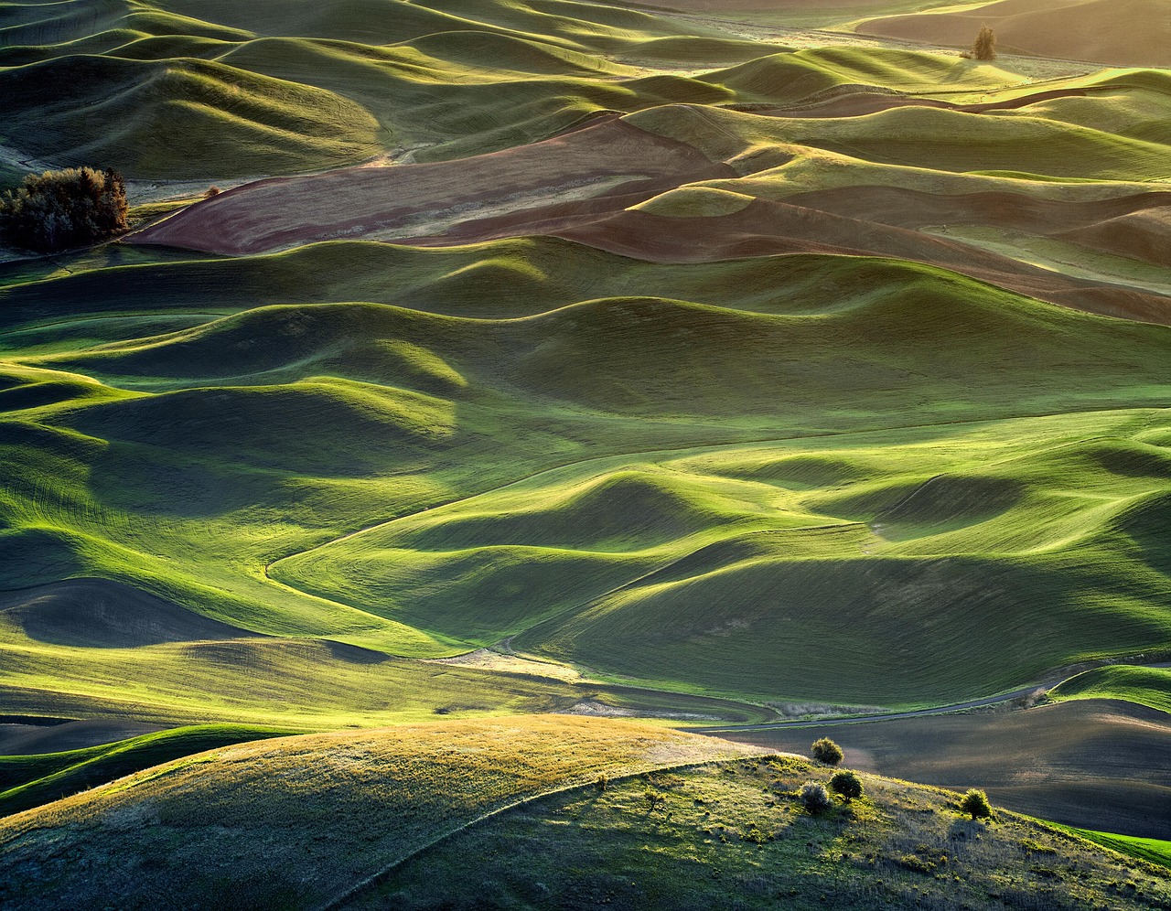 Washington durcit le jeu : l'exportation d'armes devient un enjeu stratégique