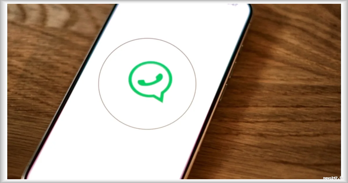 WhatsApp Web va proposer 49 nouvelles options de personnalisation pour vos discussions en ligne