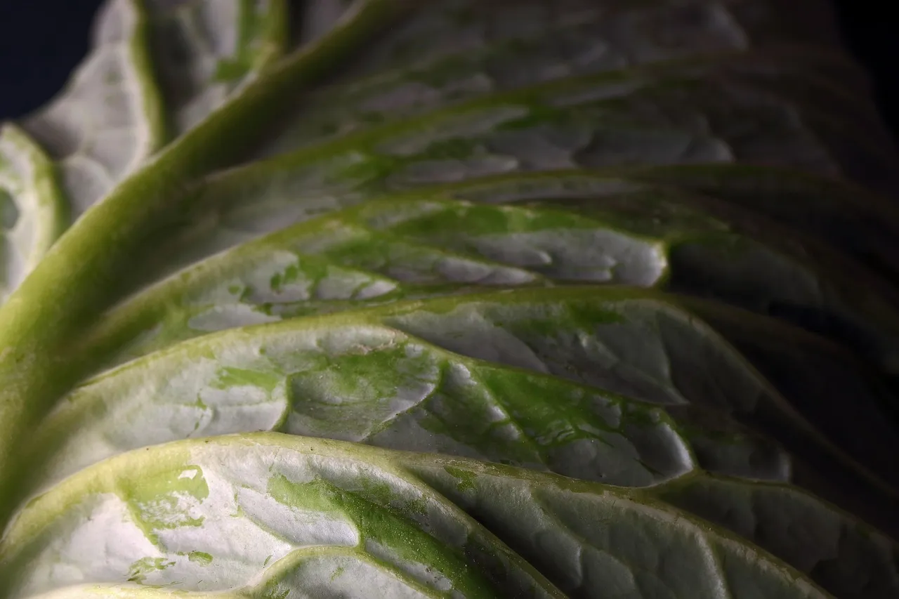 Wilfrid Mbappé se prononce sur la succession de Didier Deschamps à la tête des Bleus