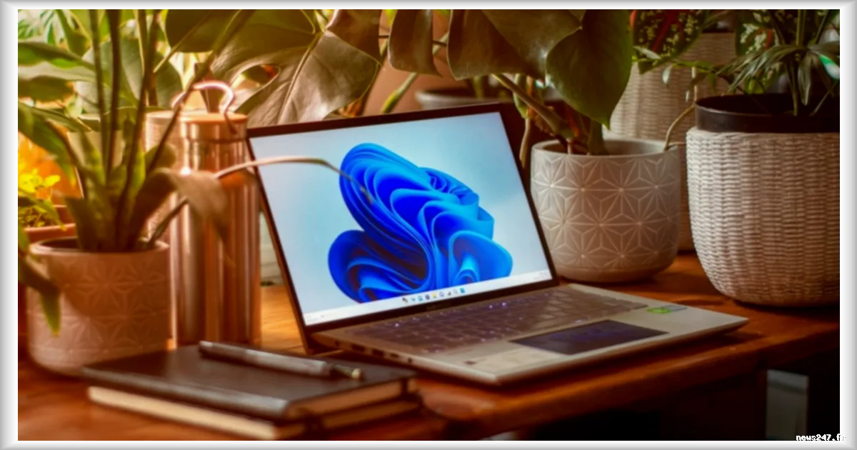 Windows 11 : les nouveaux emojis et le test de connexion arrivent enfin pour tout le monde