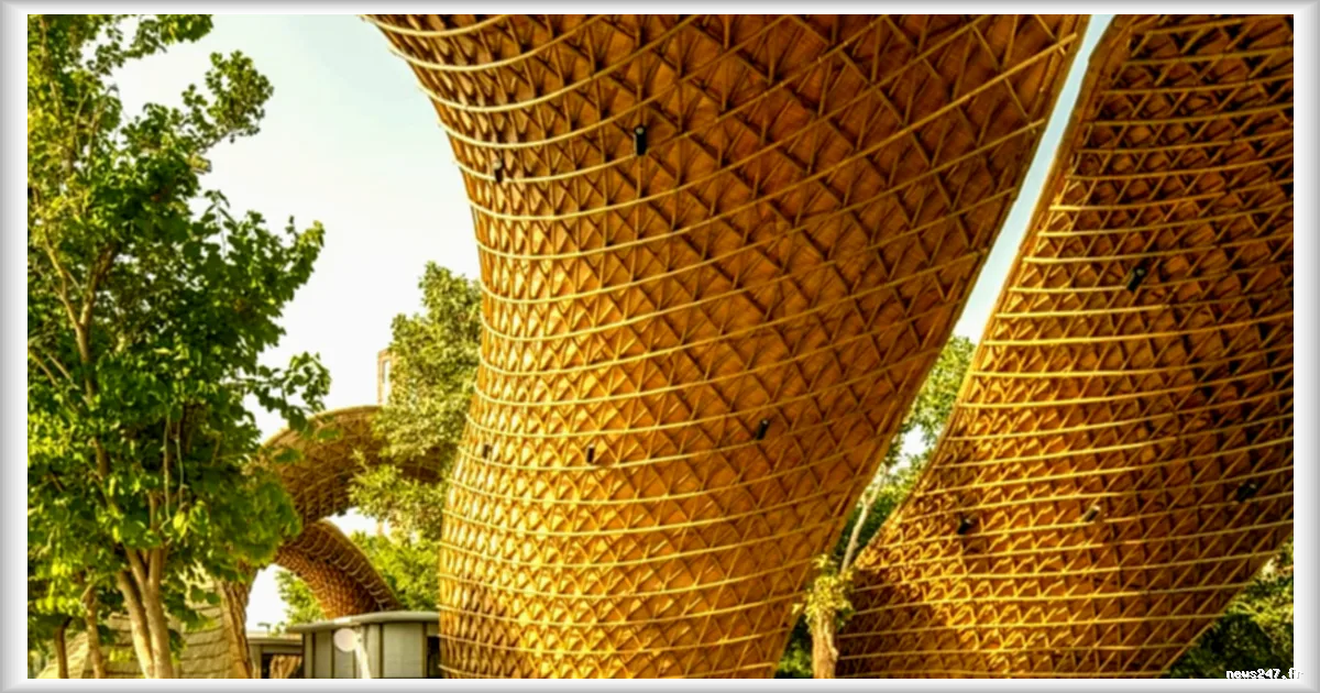 World Architecture Festival 2026 : six projets primés pour leur intégration harmonieuse dans la nature