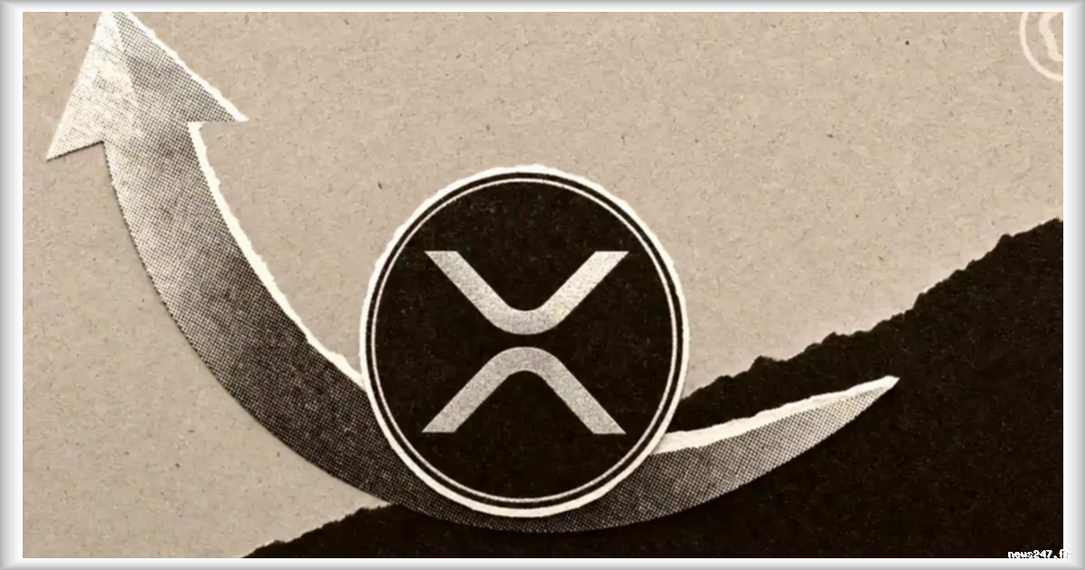 XRP : les ETF spot enregistrent leur meilleure journée depuis sept mois